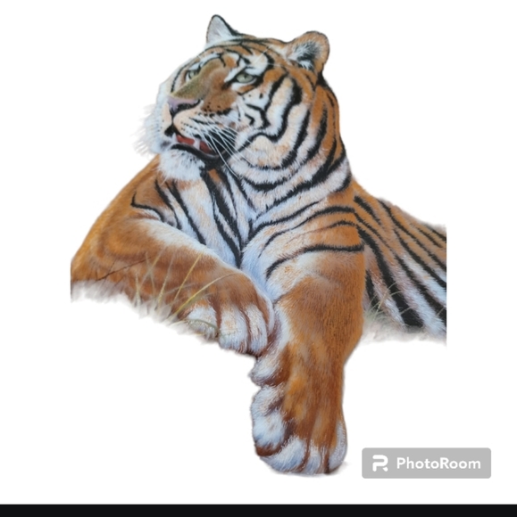 Collectors Tiger plates 2 plates included - Picture 4 of 6